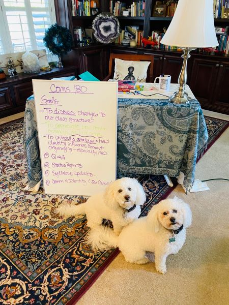 Virtual classroom with doggie TAs